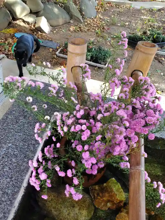 高司神社〜むすびの神の鎮まる社〜(福島県)