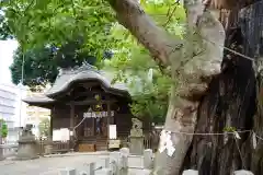 阿邪訶根神社の景色