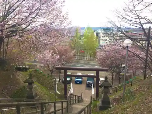 厚別神社の鳥居