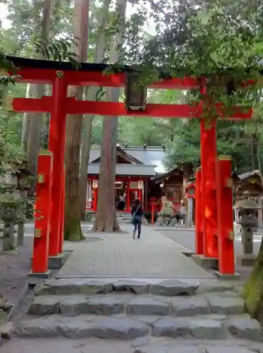 椿大神社の鳥居