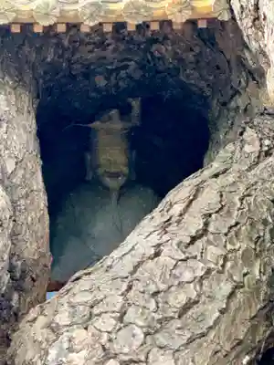 和泉國一之宮　大鳥大社(大阪府)