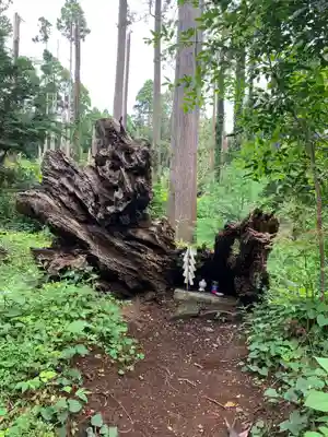 日吉神社(千葉県)