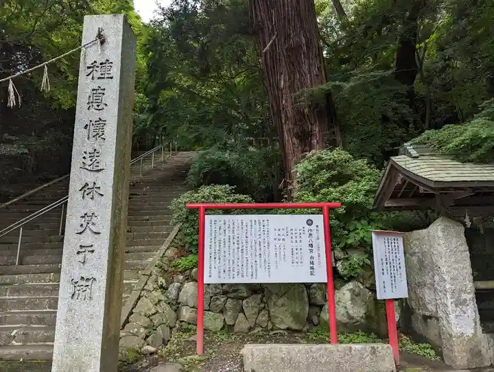 柞原八幡宮(大分県)