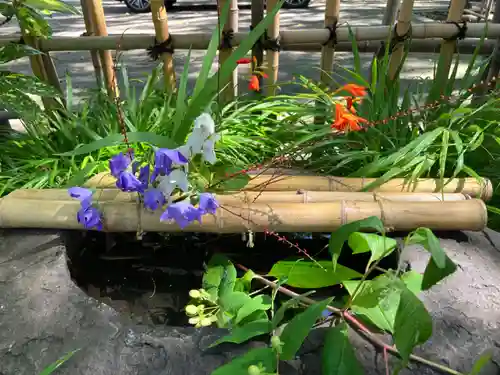 新琴似神社の手水