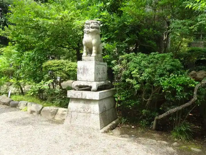 報徳二宮神社の狛犬