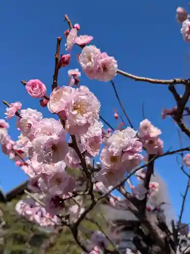 瑞円寺(東京都)