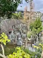 妙行寺の{uncategorized: "未分類", other: "その他", undefined: "問題あり", building: "その他建物", grave: "お墓", sacred_gate: "鳥居", guardian: "狛犬", statue: "像", buddha: "仏像", history: "歴史", nature: "自然", garden: "庭園", animal: "動物", pagoda: "塔", temizu: "手水舎", mountain_gate: "山門・神門", sanctuary: "本殿・本堂", subordinate: "末社・摂社", art: "芸術", scenery: "景色", jizo: "地蔵", ema: "絵馬", goshuin: "御朱印", omikuji: "おみくじ", items: "授与品その他", amulet: "お守り", goshuincho: "御朱印帳", eats: "食事", festival: "お祭り", votive_dance: "神楽", shichigosan: "七五三参", wedding: "結婚式", experience: "体験その他", initially: "初詣", around: "周辺", anti_infection: "感染症対策"}