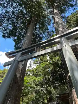 九頭龍神社の鳥居