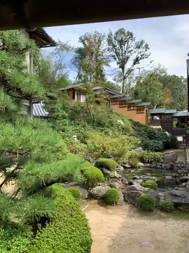 達磨堂 円福寺 の庭園