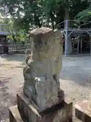 天鷹神社の狛犬