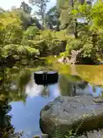寒川神社(神奈川県)