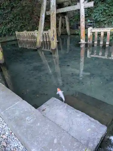 鹿島神宮(茨城県)