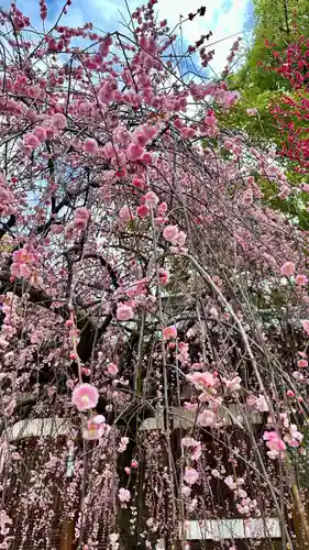 屯倉神社(大阪府)