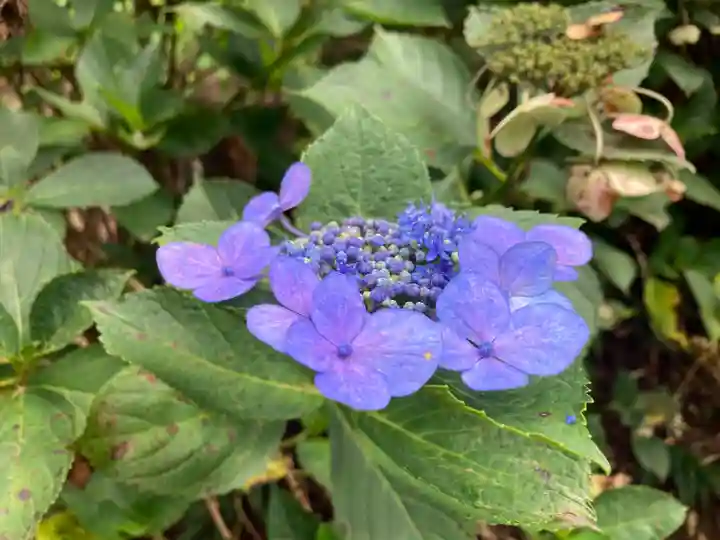 弘長寺(長野県)