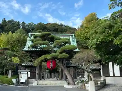 長谷寺の御朱印