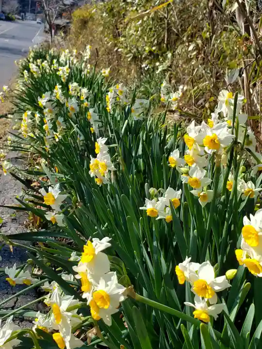 香取神宮(千葉県)