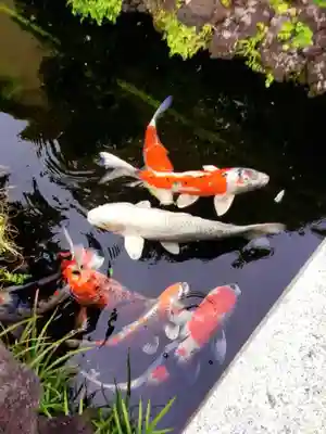 禅定院(東京都)