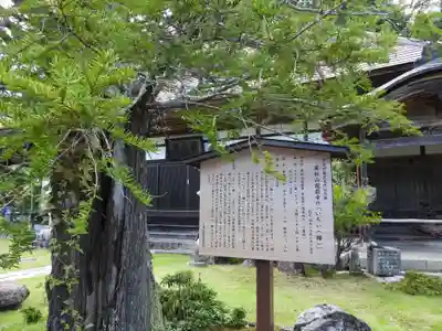 龍嶽寺(長野県)