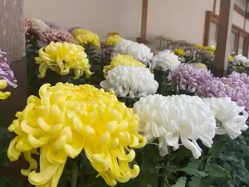 美奈宜神社(福岡県)