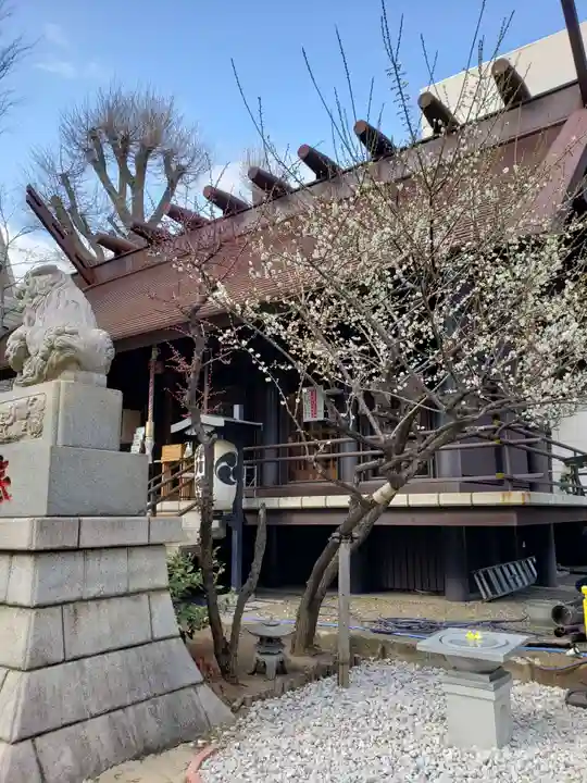 高円寺氷川神社のその他建物