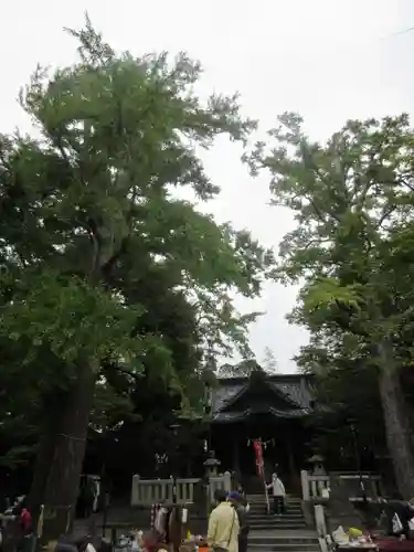 亀岡八幡宮（亀岡八幡神社）の景色