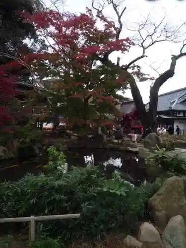 楽法寺（雨引観音）(茨城県)