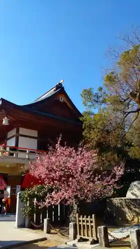 伊豫豆比古命神社のその他建物