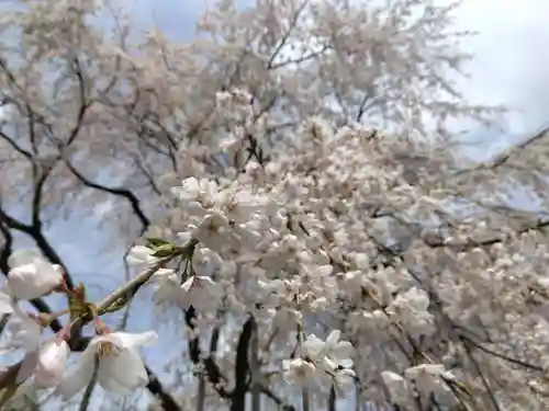 足羽神社(福井県)