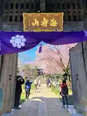 密藏院の山門