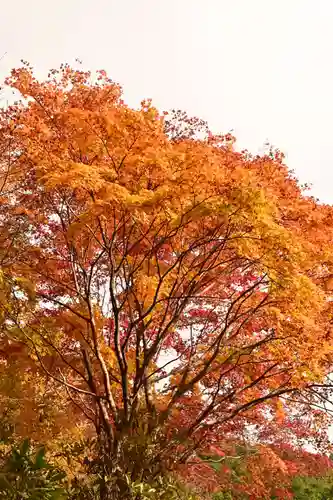 金剛寺(高知県)