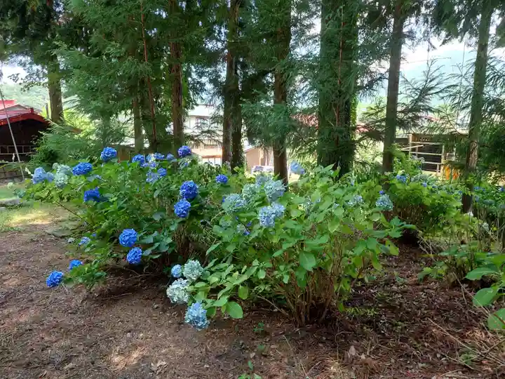 北東本宮小室浅間神社(山梨県)
