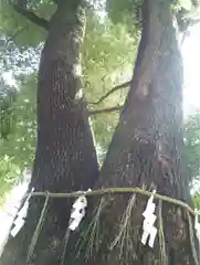 多田神社(東京都)