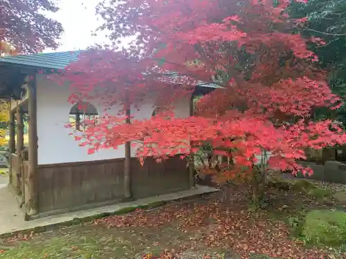 興聖寺(滋賀県)
