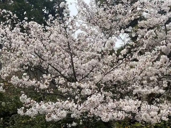 法金剛院(京都府)