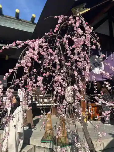 東京大神宮(東京都)