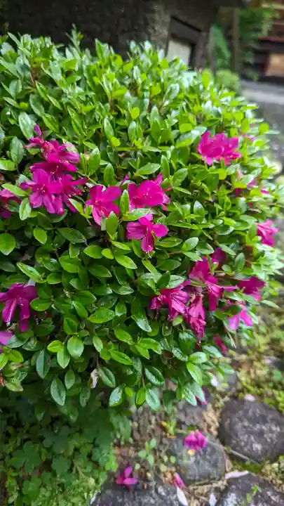 宝蔵寺(京都府)