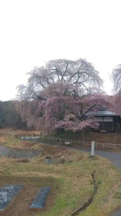 勝間薬師堂(長野県)