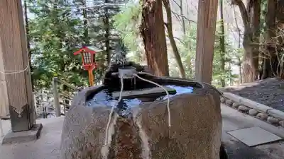 新倉富士浅間神社の手水舎