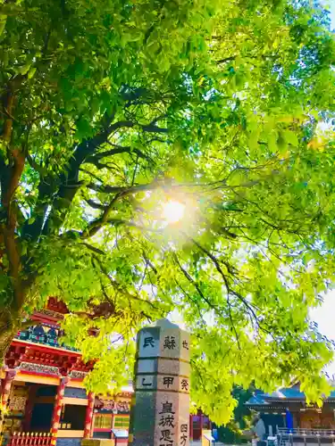 大杉神社の景色