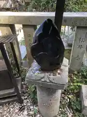 毛谷黒龍神社(福井県)