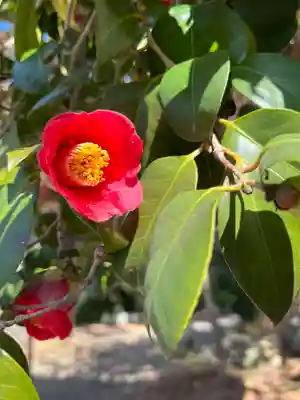 東門院(滋賀県)