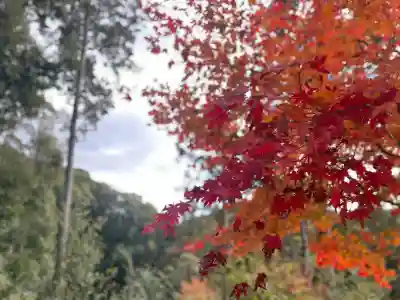 神峯山寺(大阪府)