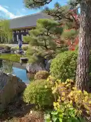 蓮華王院（三十三間堂）(京都府)