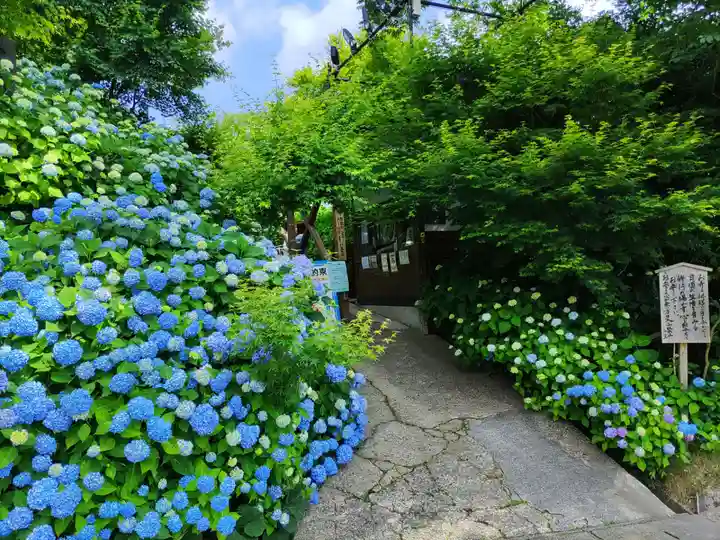 雲昌寺(秋田県)