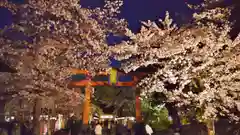 平野神社の鳥居