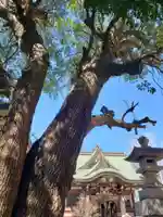 諏訪神社(東京都)