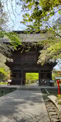 淨眞寺(東京都)