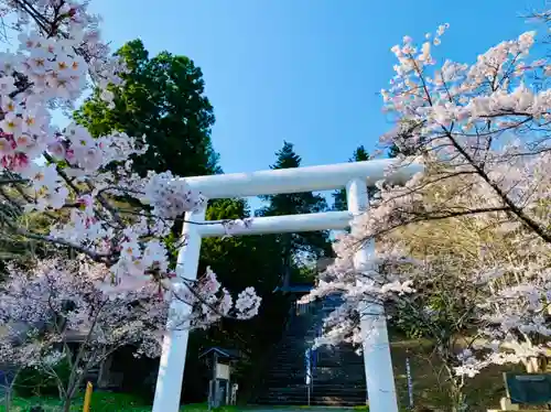 土津神社｜こどもと出世の神さまの鳥居