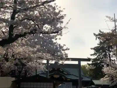 靖國神社(東京都)
