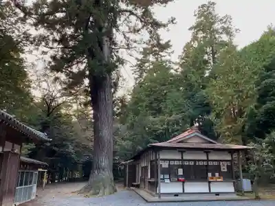 村檜神社のその他建物